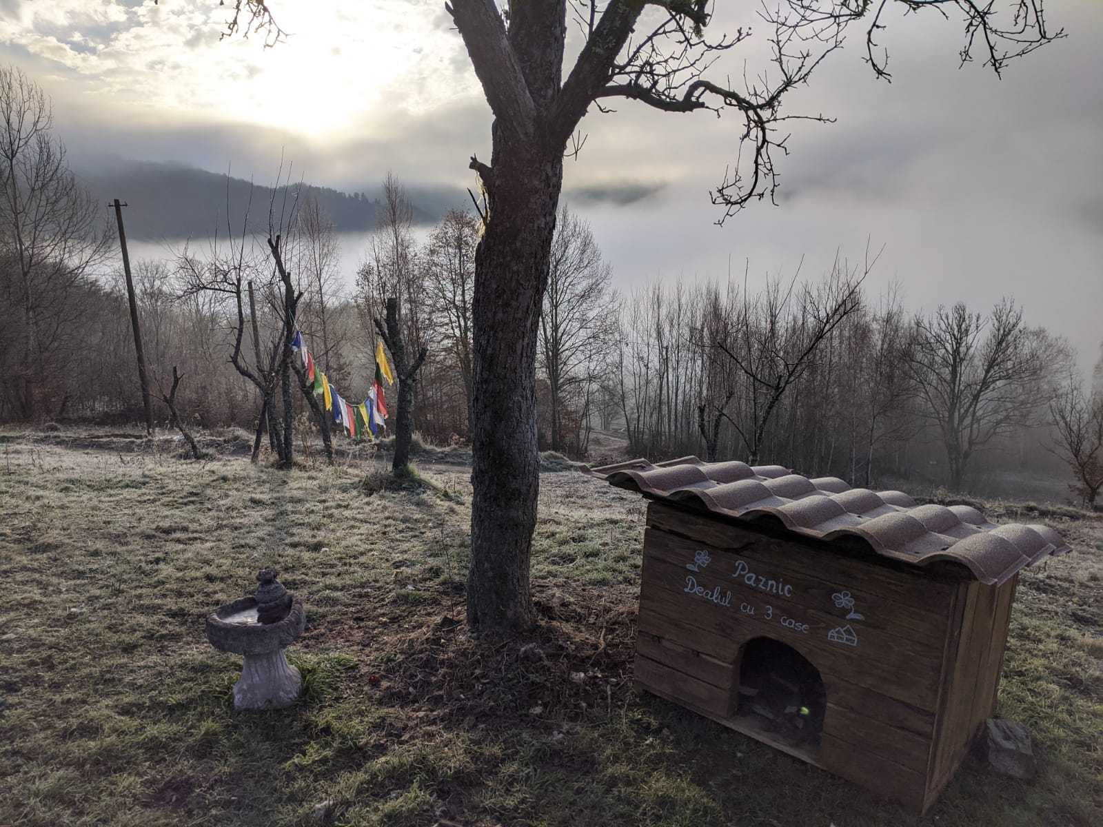 Dog house in winter